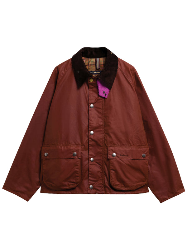 GIACCHE BARBOUR ba x paul smith transp wax