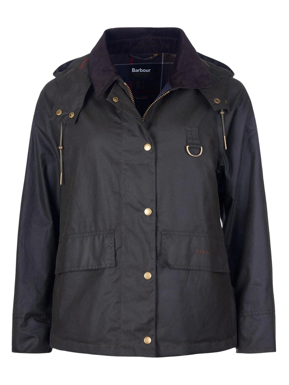 CAPPOTTI BARBOUR  
