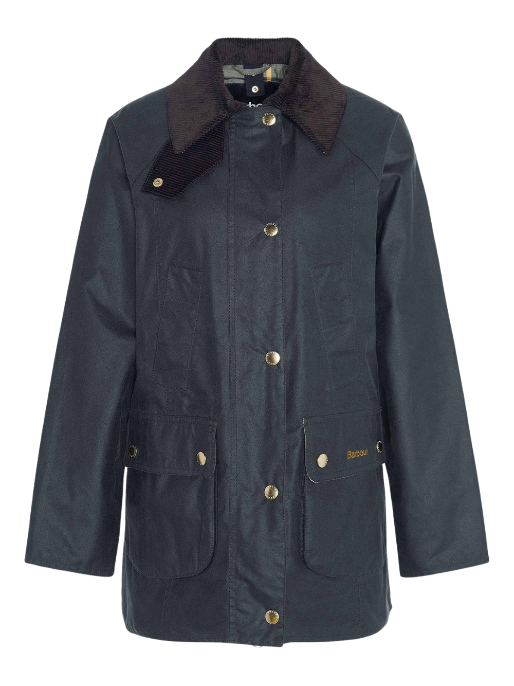 CAPPOTTI BARBOUR  