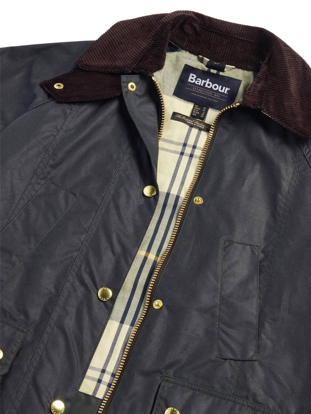 CAPPOTTI BARBOUR  