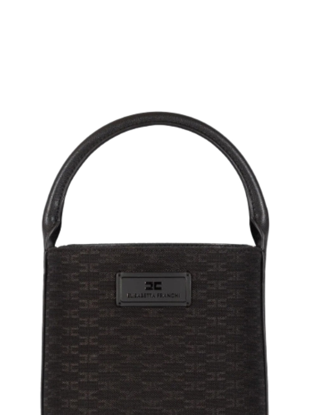 BORSE A MANO ELISABETTA FRANCHI  