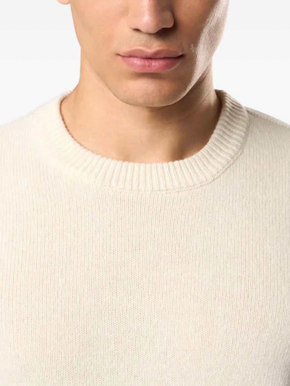 MAGLIERIA STONE ISLAND crew nwck 