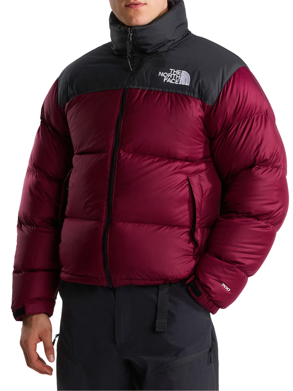 PIUMINI THE NORTH FACE  