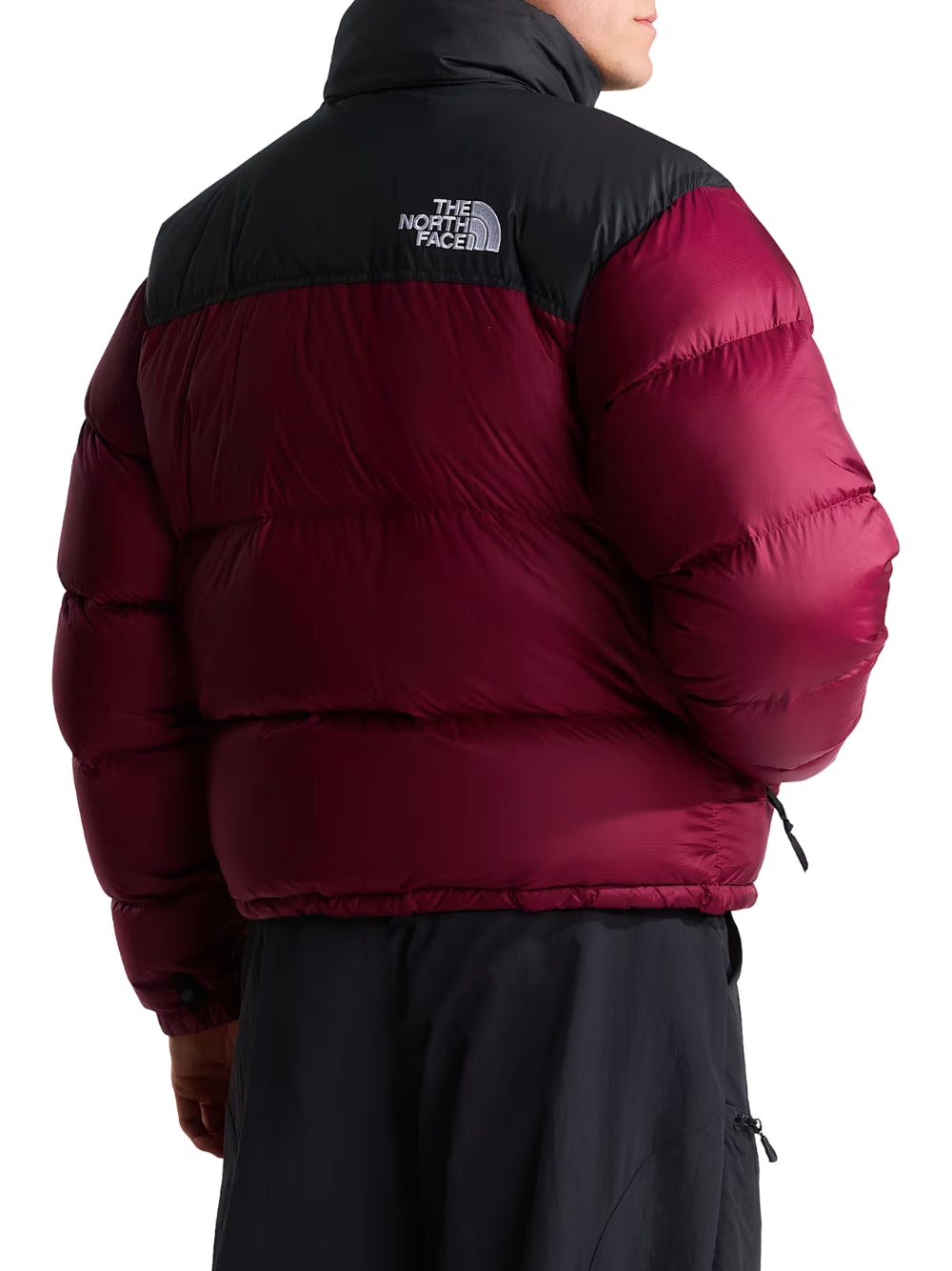 PIUMINI THE NORTH FACE  