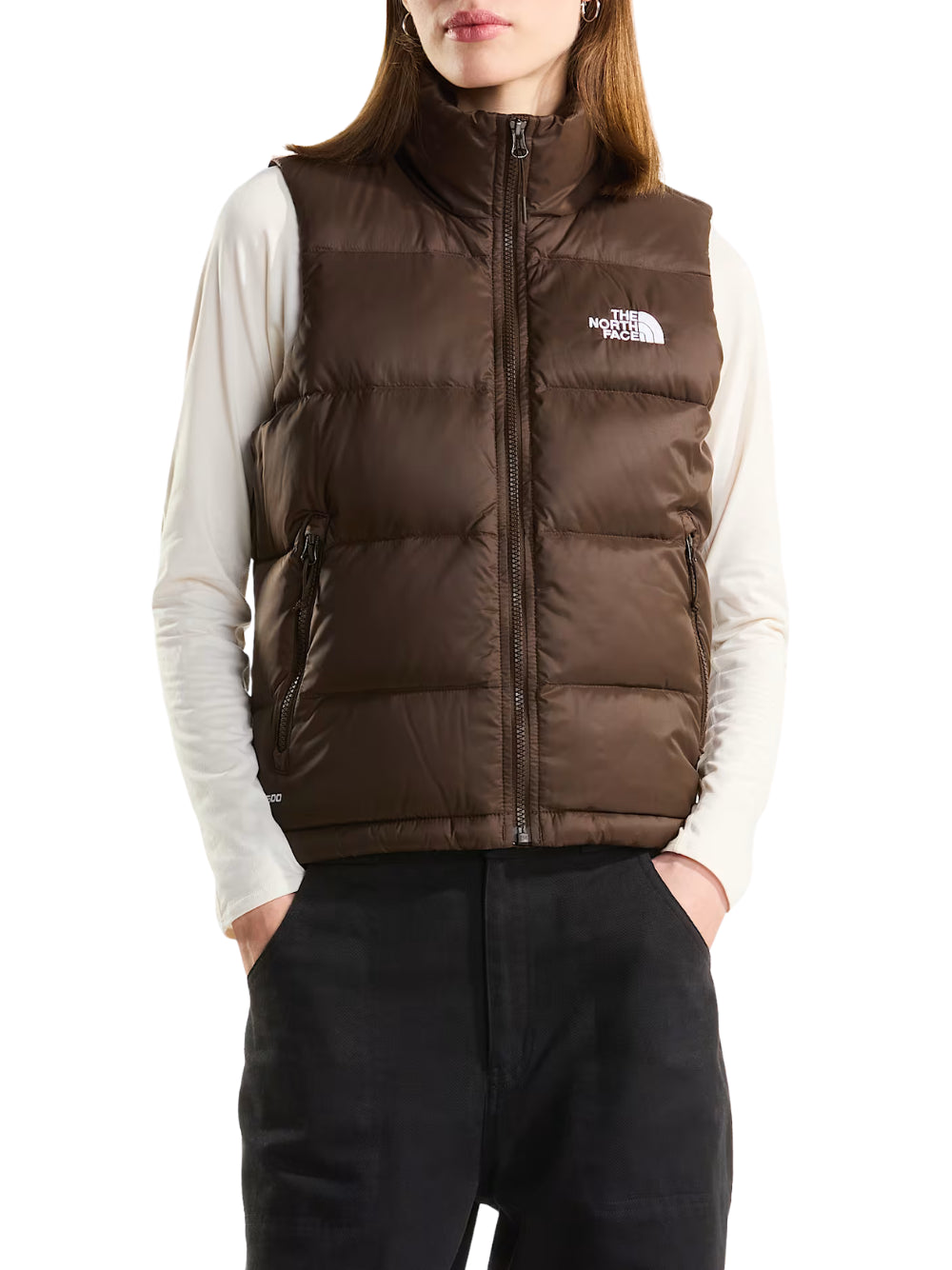 GILET THE NORTH FACE  